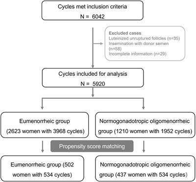 Improved reproductive outcomes in normogonadotropic oligomenorrheic women undergoing ovarian stimulation with intrauterine insemination: a retrospective cohort analysis of real-world data